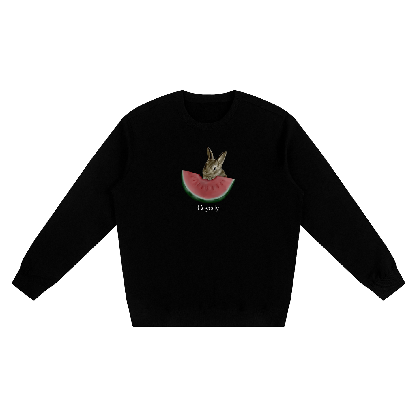 coyody's "watermelon" crewneck